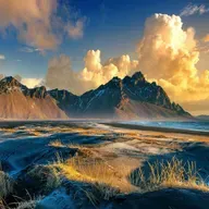 Wild new stories: Weaving New Myths for a New Way of Being with Ally Kingston of Agency for Nature