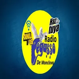 RADIO PEGASSO MVA