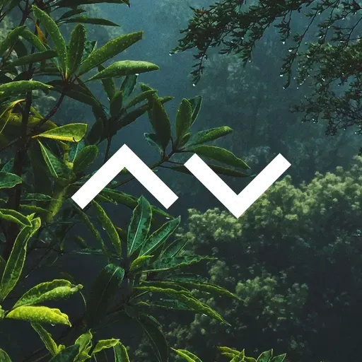 Easter Friday - The Victory is in the V