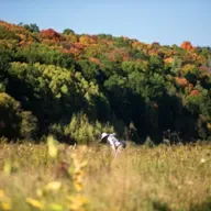 Wisconsin conservation support, Manufacturing job loss, Oldest Chinese restaurant