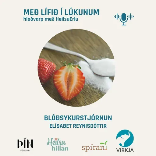 Blóðsykurstjórnun. Elísabet Reynisdóttir. (Heilsumoli 40)