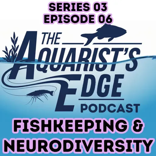 Fishkeeping & Neurodiversity: Why Aquariums Calm ADHD/Autistic Brains