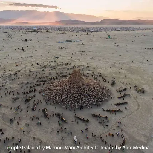 Of Beetles' wings and Brittlestars: using Biomimicry to co-create a flourishing future with Michael Pawlyn