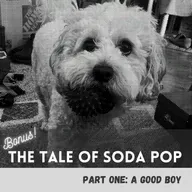 The Tale of SodaPop: Part One
