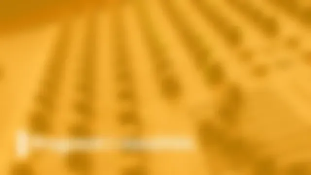 Programi i mesditës