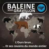 S07E153 L'Ours brun 1/6... et ses cousins du monde entier (Rémi Dupouy)
