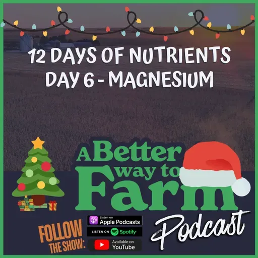 12 Days of Nutrients - Day 6: Magnesium