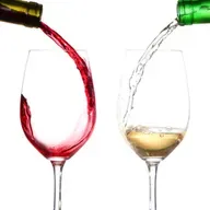 El secreto que nunca te contaron para catar como un profesional con solo 2 vinos