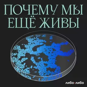 Почему мы еще живы