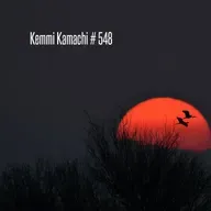 Kemmi Kamachi # 548