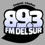 FM Del Sur 89.3
