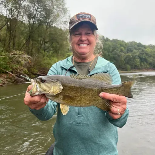 224: On the Fly South