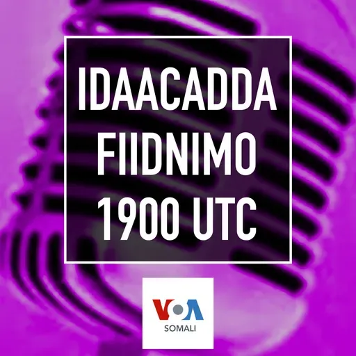 Idaacadda Fiidnimo - March 29, 2025