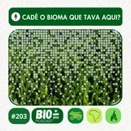 203 - Cadê o bioma que tava aqui?