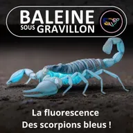 S07E140 Faire "-scence" : Être fluorescent, comment ça marche, à quoi ça sert ?
