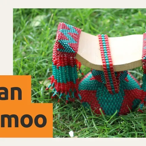 Understanding treaty in Australia: What First Nations people want you to know - Walii galtee Australia keessaattii hubachuu: Sabooti jalqabaa maal akka ati bartuuf barbaadu