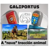 GLP T3X11 / A "nova" tracción animal- Actualidade