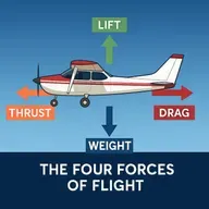 The Four Forces of Flight