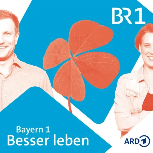 "Bio-Eier vom Discounter: Wie gut sind sie wirklich?"