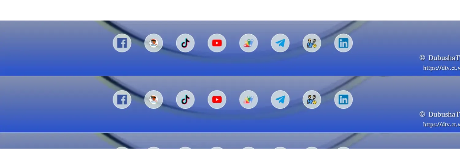 FM Multimedia