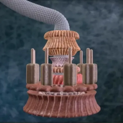 Casey Luskin on the Core Concepts of Intelligent Design