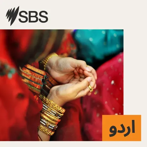 Disability, multicultural and Indigenous leaders share mixed views on 2026 budget - بجٹ 2026: ہاؤسنگ ،امیگریشن، انٹرنیشنل طلبا کی اسکروٹنی ، ٹیکس اور این ڈی آئی ایس میں تبدیلیاں!