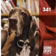 Historia de los Perros I: Cuando Nos Escogimos Mutuamente