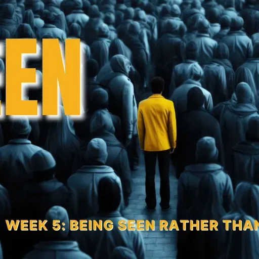 Being Seen Rather Than Noticed (Audio)