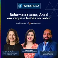 #06 - Reforma do setor, Aneel em xeque e leilões no radar - PSR Explica na MegaWhat