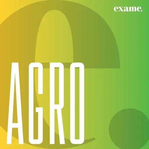 A recuperação do PIB do agro