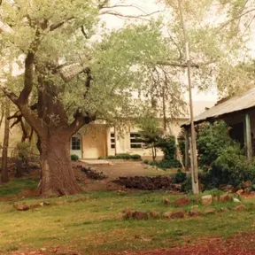 Escuela31Radio