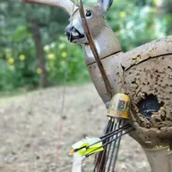 Dr Ashby's 12 Steps to the perfect "Killer Arrow" and My Practical Experience Using Them!