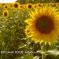 BeSimply...Mind Matters {Reclaim Your Mind}