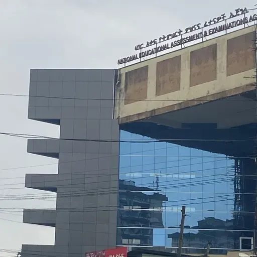 ውድቀት የገጠመው የከፍተኛ ትምህርት ተቋማት መግቢያ መዳኛው ምን ይሁን?