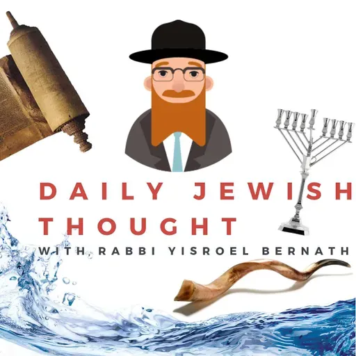 The Forgiveness Experiment Book Launch | Rabbi Yisroel Bernath in conversation with Ilana Zackon
