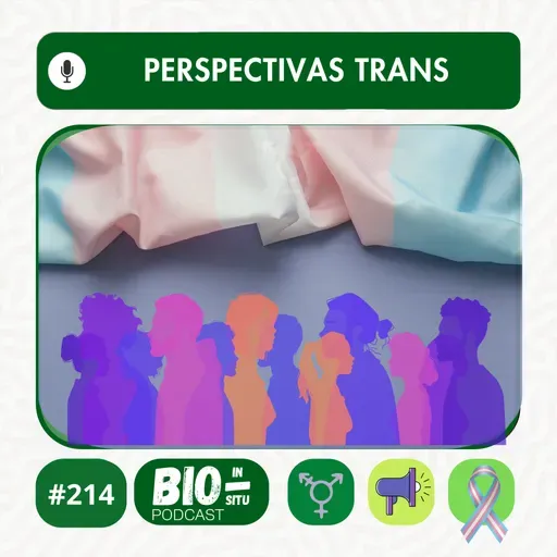 214 - Perspectivas trans