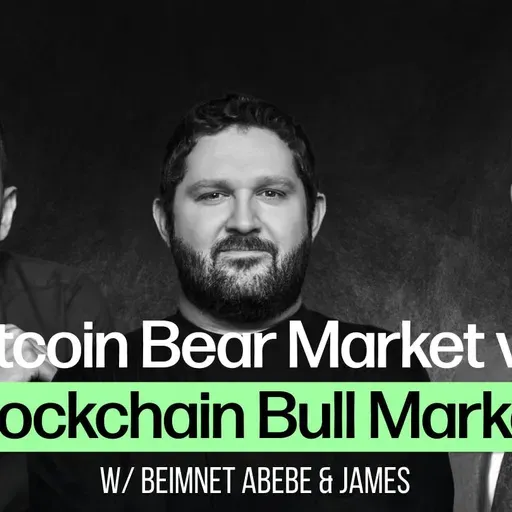 Bitcoin Bear Market vs. Blockchain Bull Market with Beimnet Abebe & James Seyffart