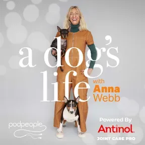 A Dog's Life with Anna Webb