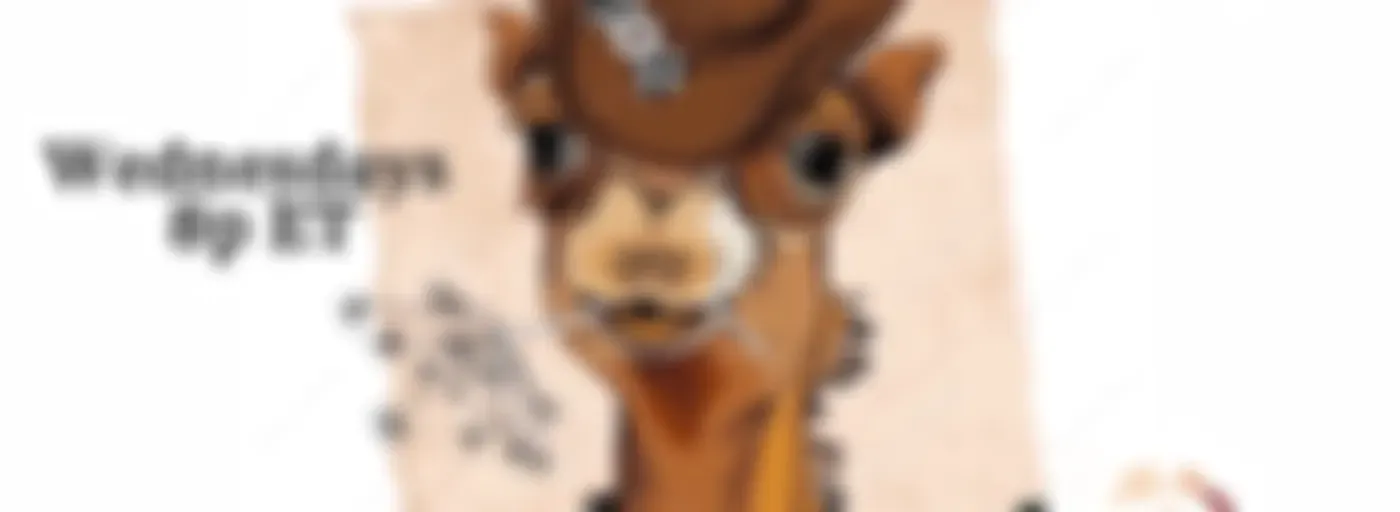 WBAM COUNTRY HUMPDAY HOEDOWN