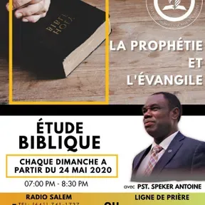 La Prophetie Et L'evangile