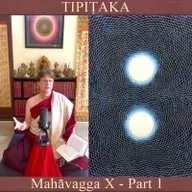 Buddhist Books: TIPIṬAKA 193 • Mahāvagga X - Part 1