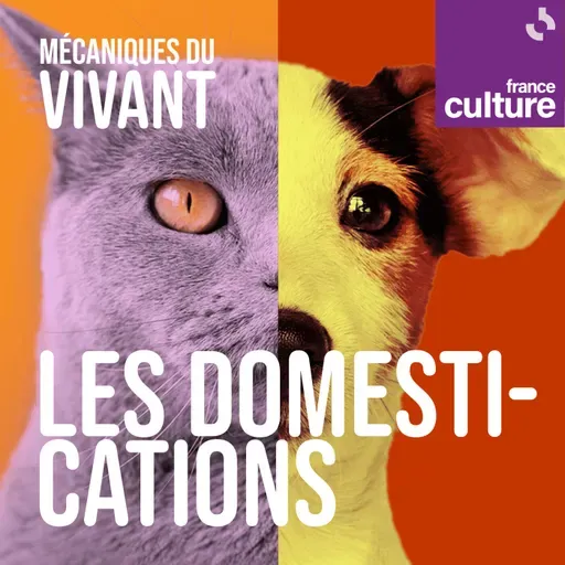 Mécaniques du vivant, saison 5 : Les domestications