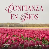 Oración 14 de julio (Confianza en Dios)