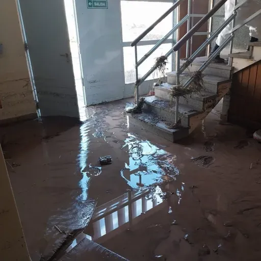 ⚡🌊 EMERGENCIA EN MENDOZA: Senado avaló decreto por crisis del Atuel
