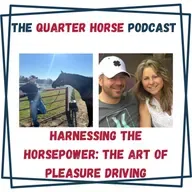 Quarter Horse - Harnessing the Horsepower: The Art of Pleasure Driving for September 16, 2025