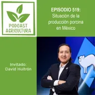 519 Situación de la producción porcina en México con David Huitrón