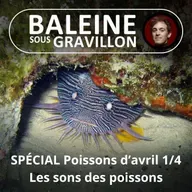 SPÉCIAL Poissons d'avril 1/4 : 20 000 chants sous les mers (Bill François)