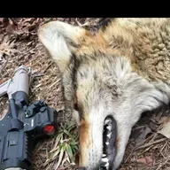 Hunting with an A.R.-15 My Thoughts - Tac Reload
