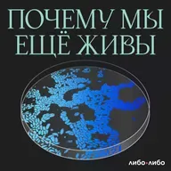 Самый живучий орган: история цирроза печени