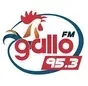 Gallo FM 95.3 - XHPEDJ